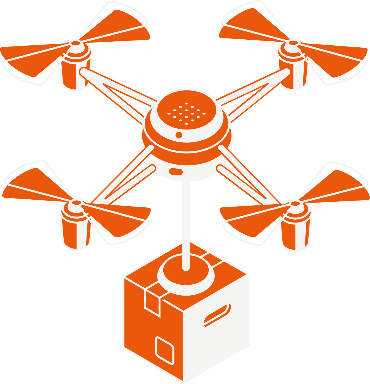 Customs & compliance